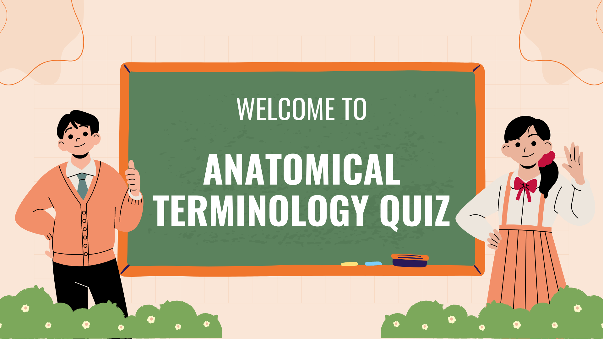 anatomical terms quiz